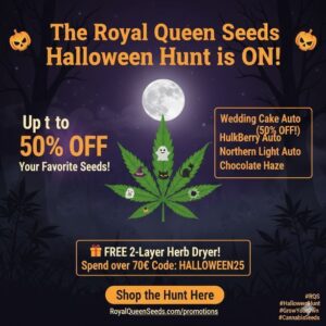 RQS Halloween Hunt: Up to 50% Off Cannabis Seeds & FREE Herb Dryer!