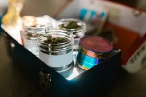 Storage, Legal Compliance, and Home Grow Tips:Marijuana Grow Guide Part 8